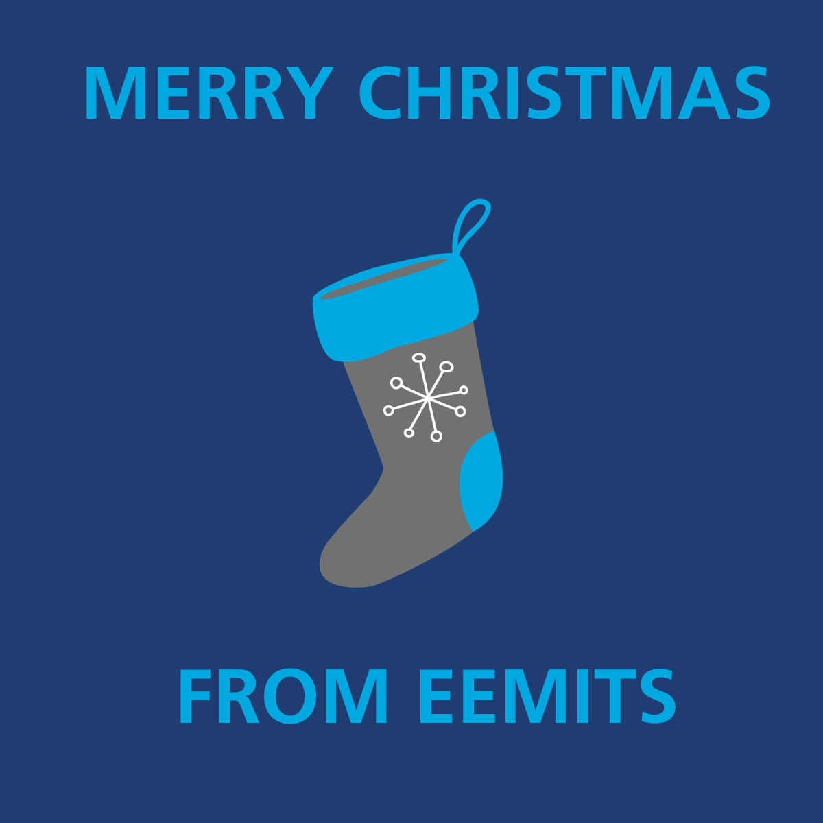 Merry Christmas From Eemits Communications