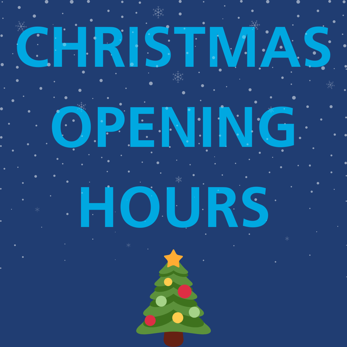 Christmas Opening Hours & A Merry Christmas from Eemits!